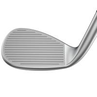 Wedge Snakebite X Silver (graphite) - Cobra